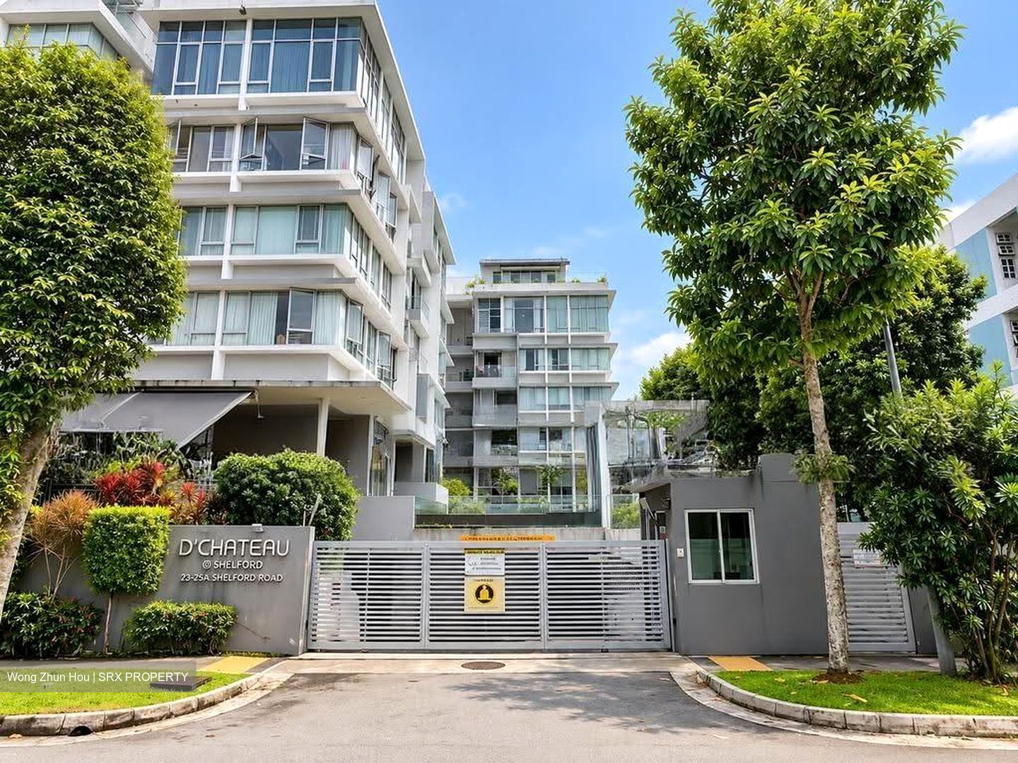 D' Chateau @ Shelford (D11), Apartment #621673601